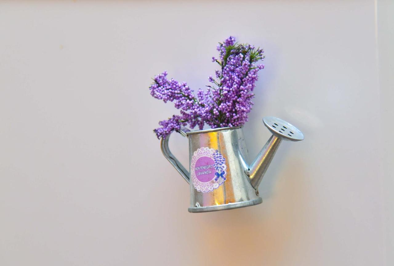 דירה Golden Lavender